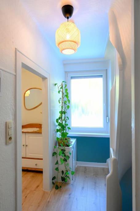 Belle 80 - Beautiful Renovated 1865 House